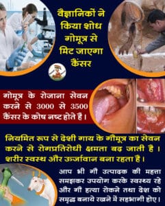 ayurvedic cancer medicine